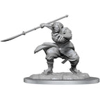 D&D Nolzur's Marvelous Miniatures - Oni Femmina