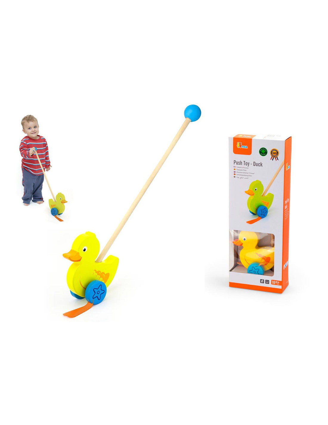 Viga - Papera in Legno "Spingi e Vai" - Gioco Educativo Trainabile