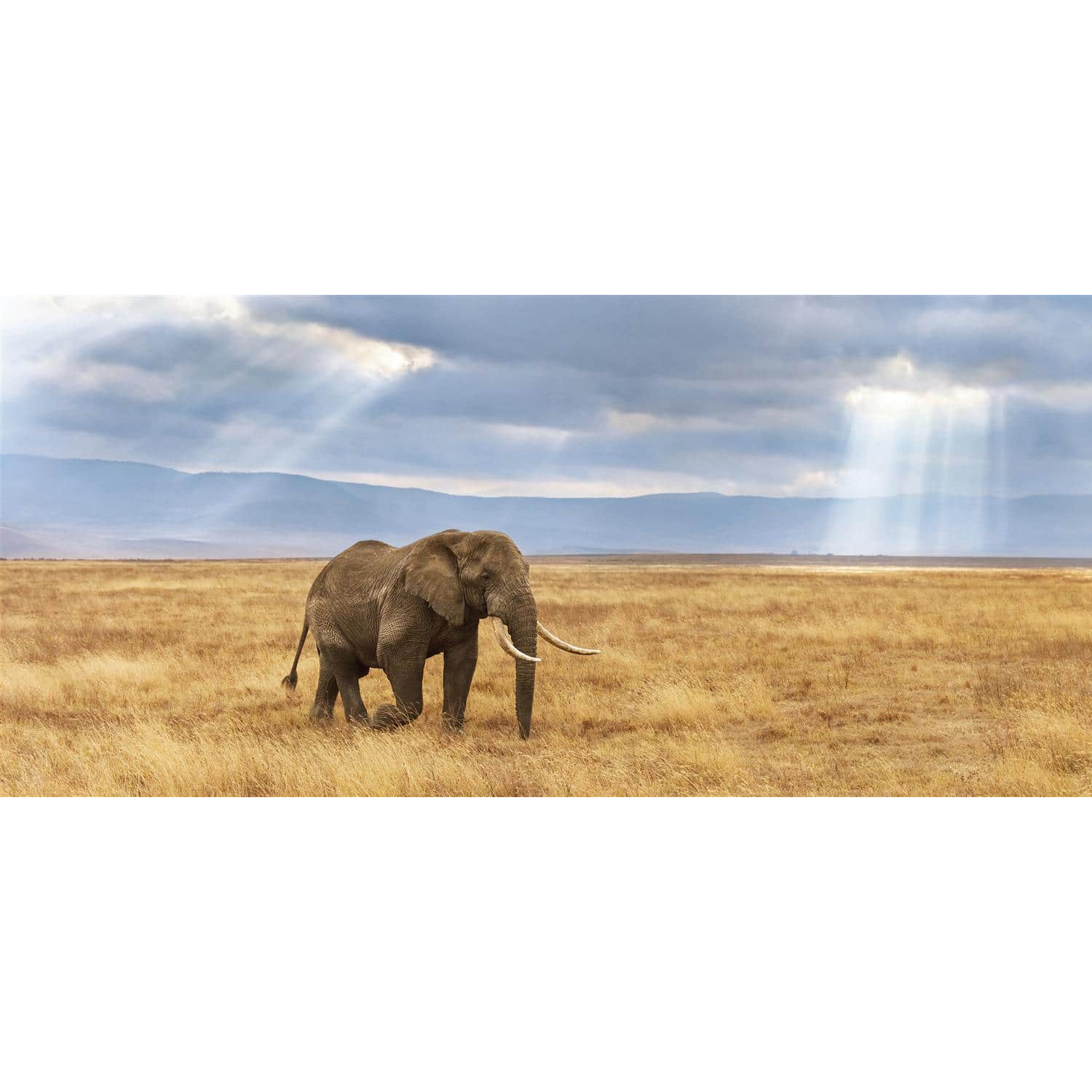 Clementoni Puzzle 1000 Pezzi High Quality Collection Panorama Lost 98x33 cm