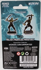 D&D Nolzur's Marvelous Miniatures - Dark Spellcaster & Flameskulls